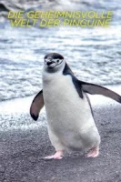 Тайны пингвинов (2025) смотреть онлайн бесплатно